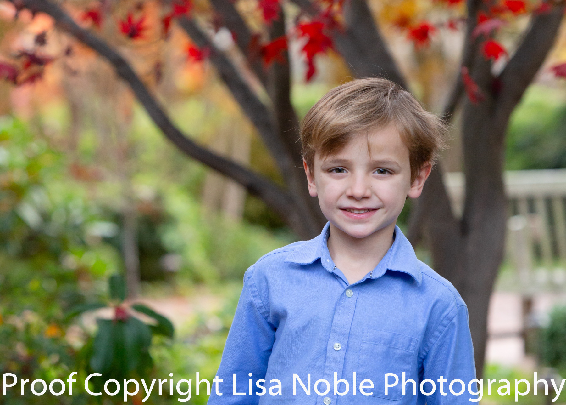 Bay Area Professional Family Photography in Palo Alto