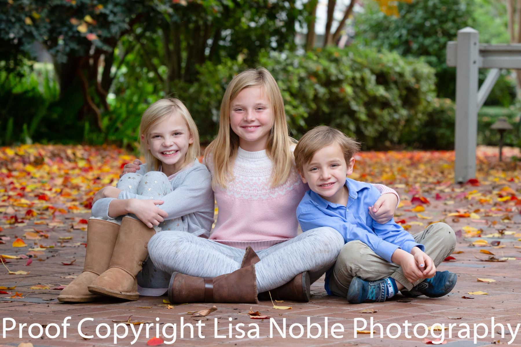 Three siblings on Bench during family photography session