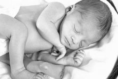 San-Francisco-Bay-Area-newborn-baby-photography-012