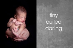 San-Francisco-Bay-Area-newborn-baby-photography-019mont